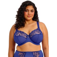 sujetador azul zarla elomi tallas grandes